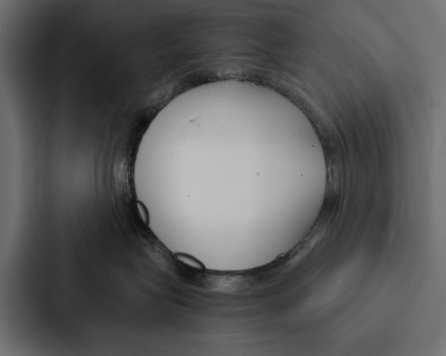X0000087040575200705160933
