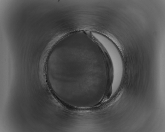 X0000087040577200705160932