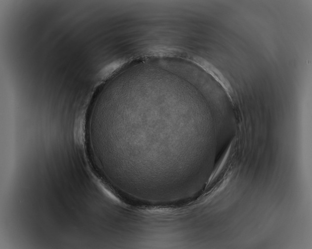 X0000087040581200705160932