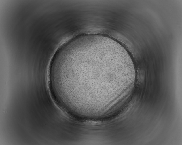 X0000087040582200705160932