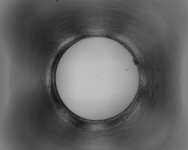 X0000087040583200705160932