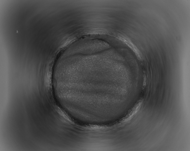 X0000087040585200705160932