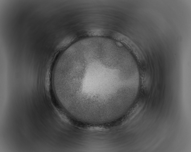 X0000087040586200705160932