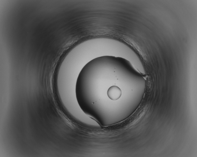 X0000087040589200705160932