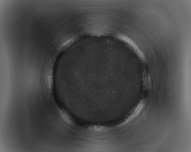 X0000087040590200705160932