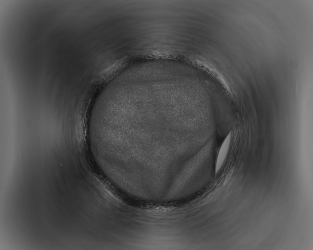 X0000087040593200705160932