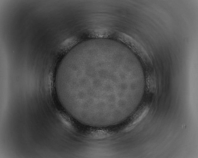 X0000087040594200705160932