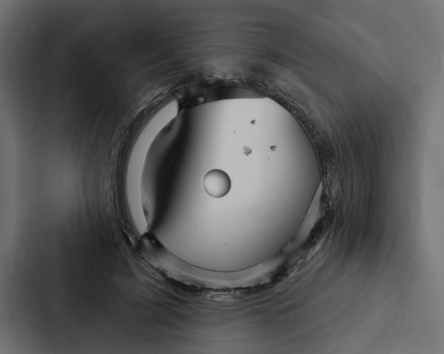 X0000087040595200705160932