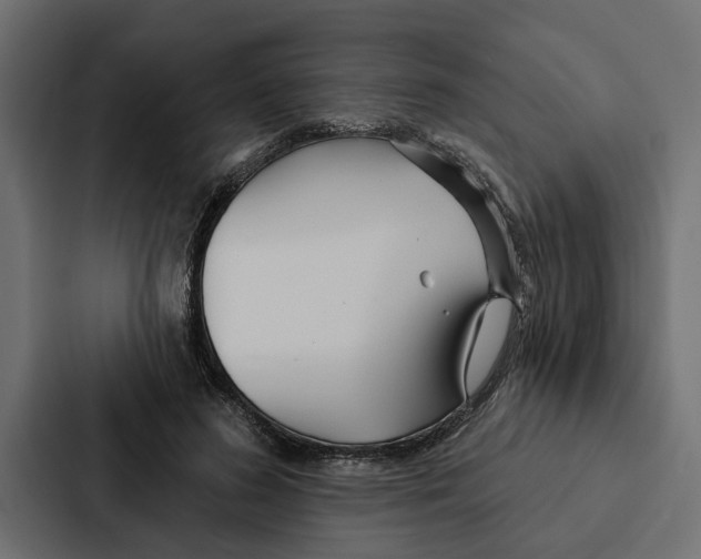 X0000087040596200705160932