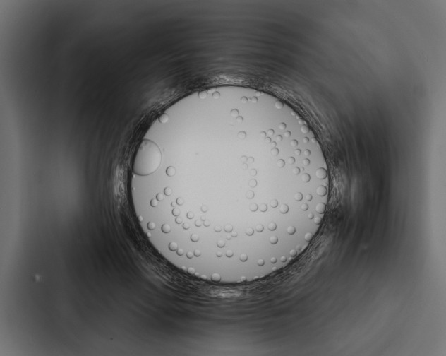 X0000087040598200705160932