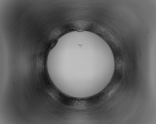 X0000087040599200705160932
