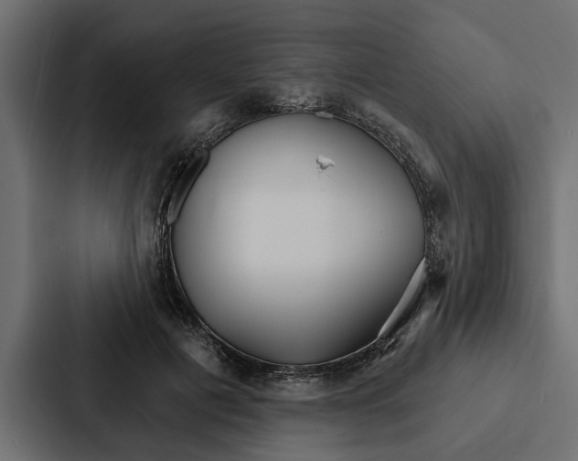 X0000087040601200705160932