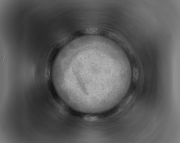 X0000087040602200705160932
