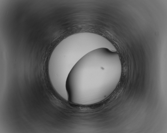 X0000087040605200705160932