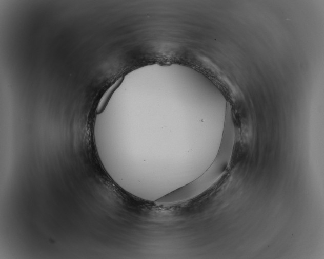 X0000087040613200705160932