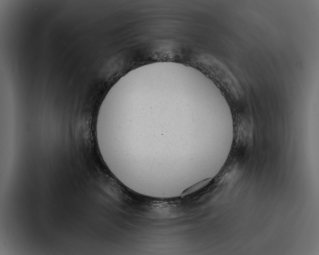 X0000087040616200705160932