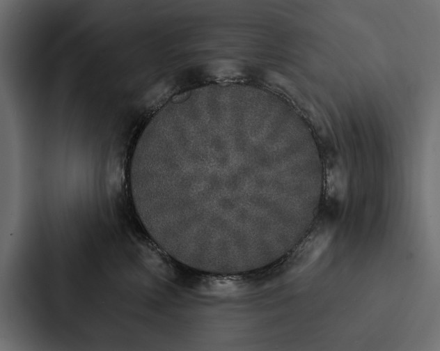 X0000087040618200705160932