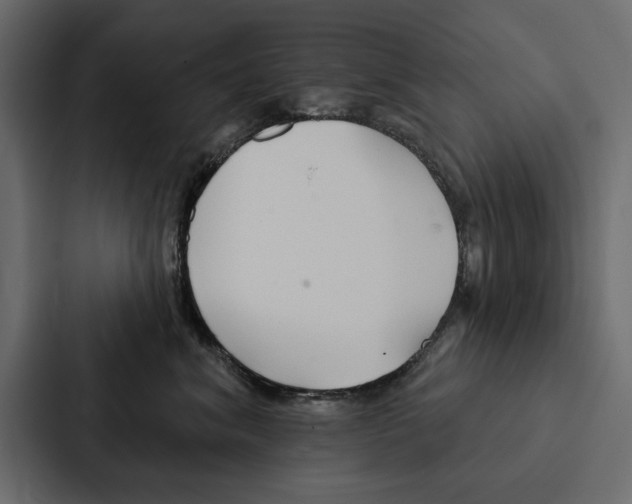 X0000087040620200705160932