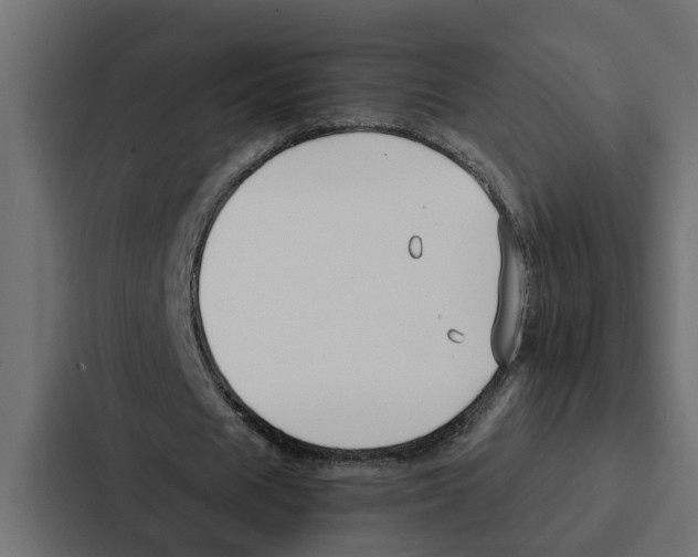X0000087040625200705160931