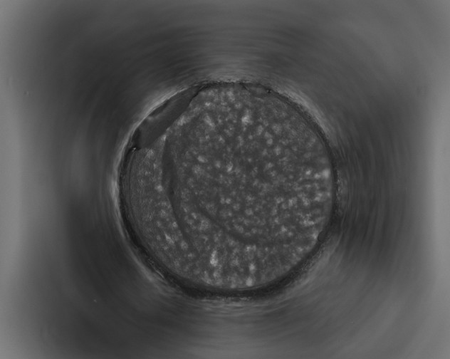 X0000087040626200705160931