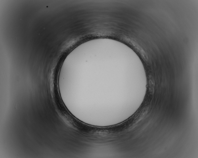 X0000087040631200705160931