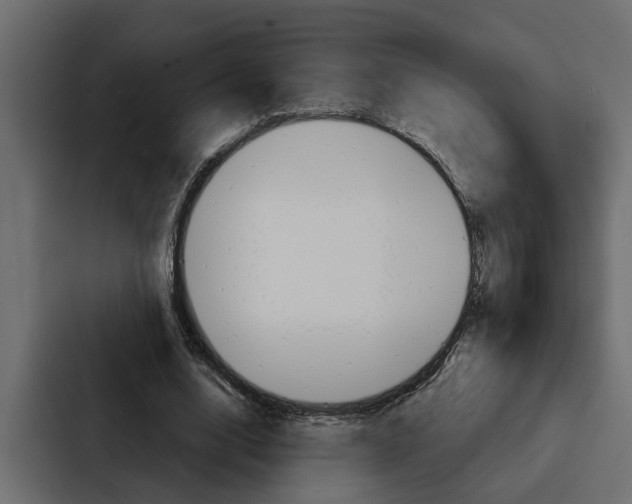 X0000087040632200705160931