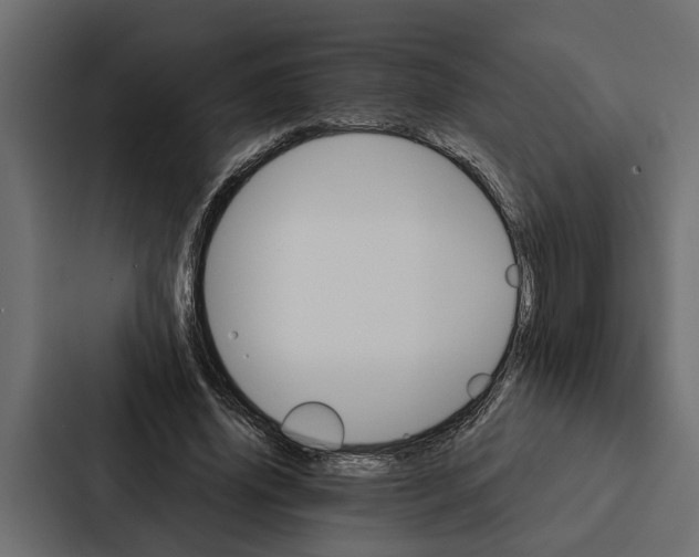 X0000087040636200705160931