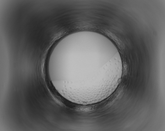 X0000087040638200705160931