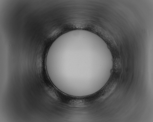 X0000087040639200705160931