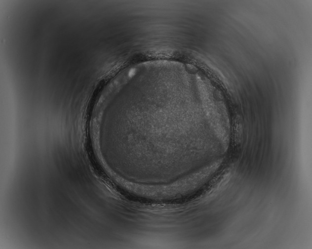 X0000087040641200705160931