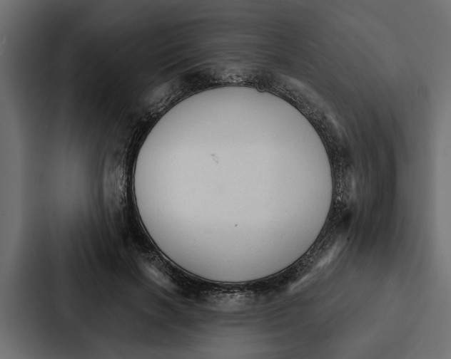 X0000087040646200705160931