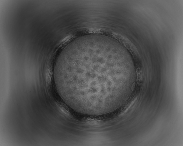 X0000087040648200705160931