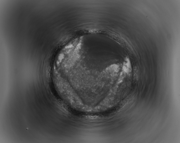 X0000087040650200705160931