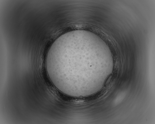 X0000087040651200705160931