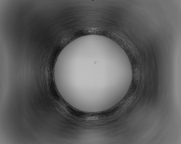 X0000087040653200705160931