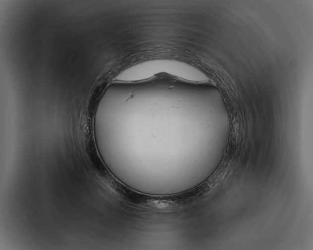 X0000087040654200705160931
