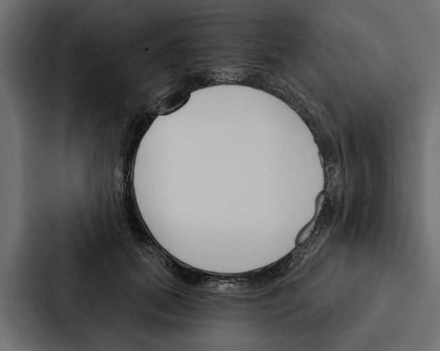 X0000087040655200705160931