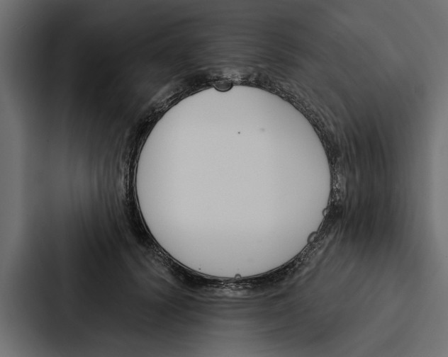 X0000087040656200705160931