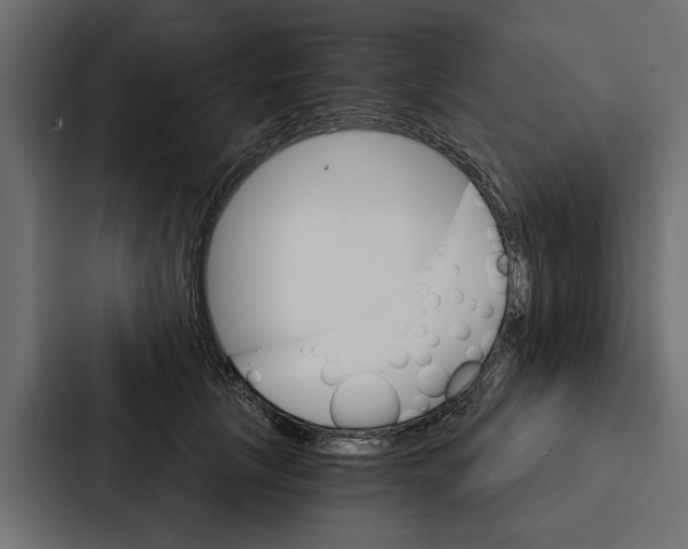 X0000087040657200705160931
