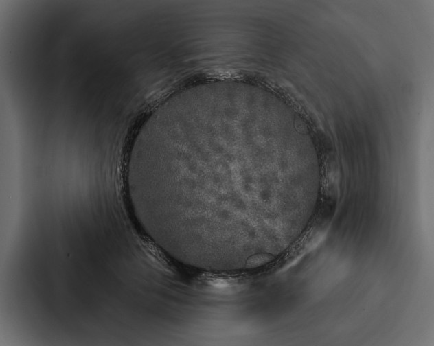 X0000087040658200705160931