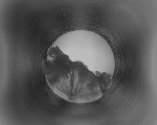 X0000087040659200705160931