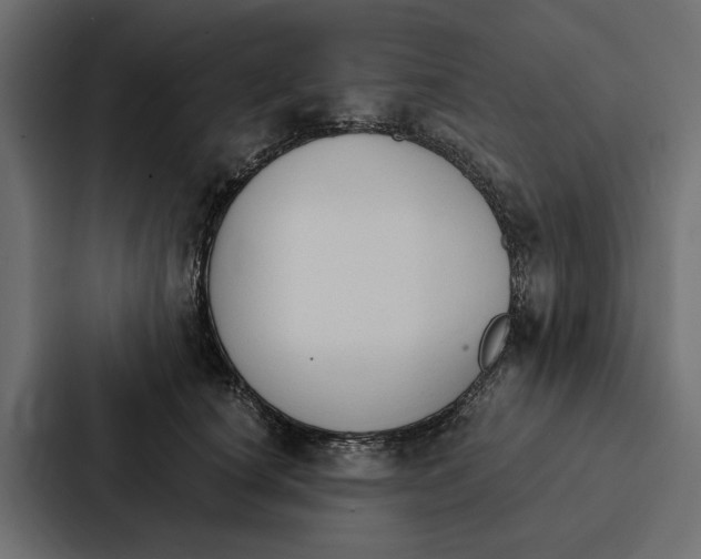X0000087040660200705160931