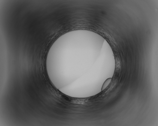 X0000087040661200705160931