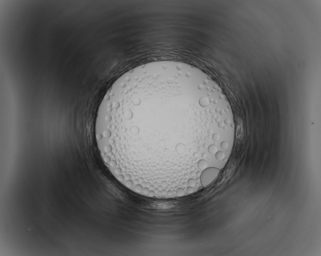 X0000087040662200705160931