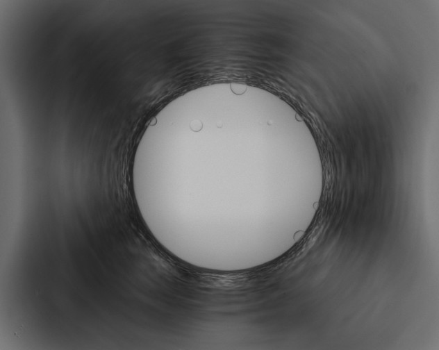 X0000087040663200705160931