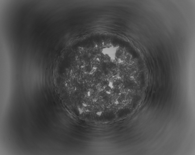 X0000087040664200705160931