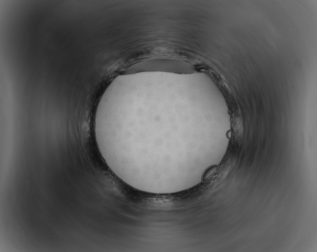 X0000087040668200705160931