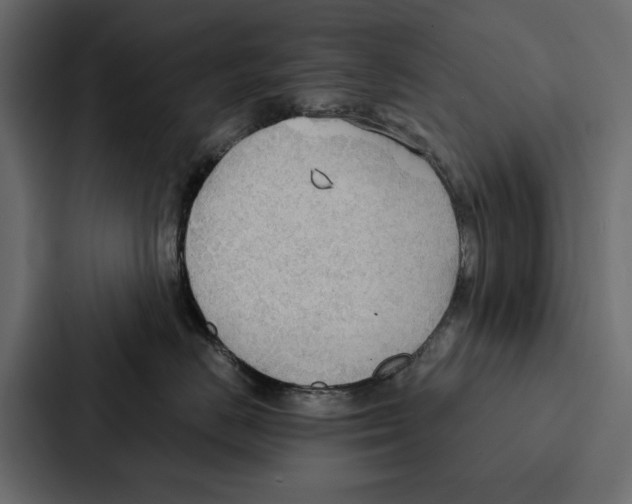 X0000087040670200705160932