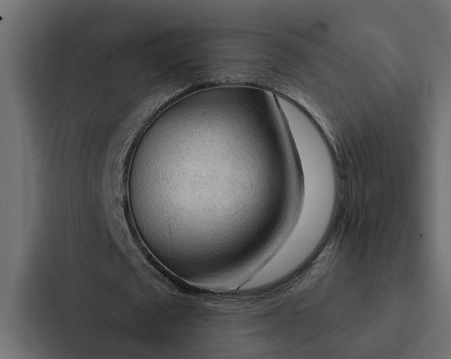 X0000087040673200705160931