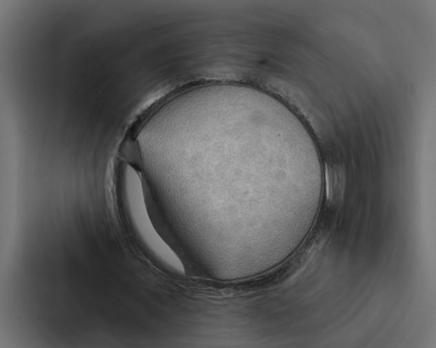 X0000087040675200705160931
